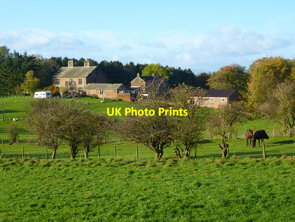 Photo 6"x4" Pasture, Melmerby, Ousby Melmerby\/NY6137 c2013