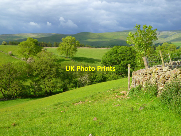 Photo 6"x4" Pasture, Culgaith Blencarn c2012