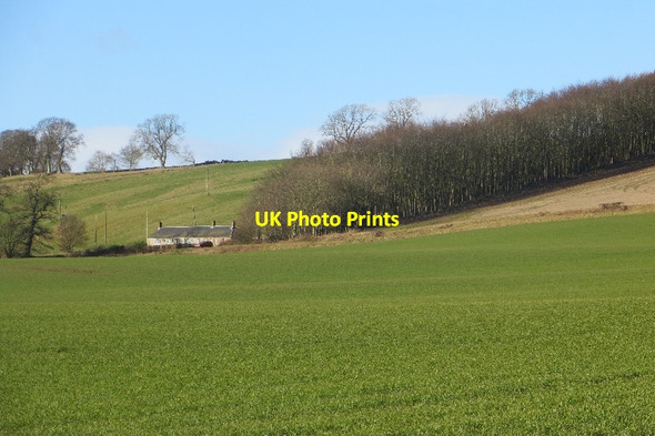 Photo 6"x4" Hilton of Gask Clathy c2015