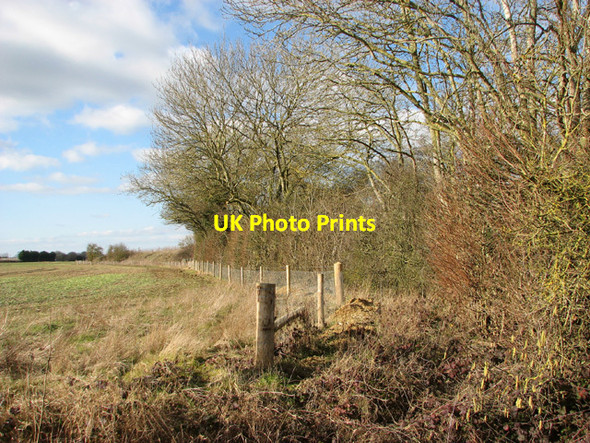 Photo 6"x4" Field by Corporation Farm Penny's Green c2015