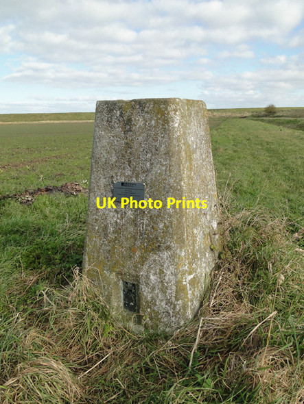 Photo 6"x4" Trig point at Gedney Drove End Gedney Drove End c2015