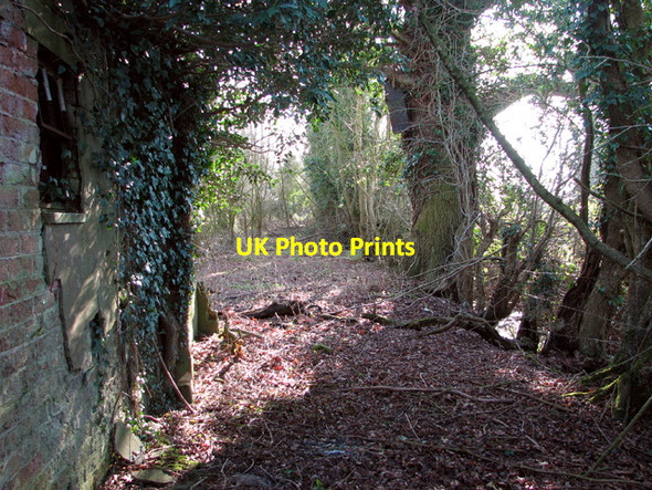Photo 6"x4" WW2 remains on Site 6 Hethel c2015