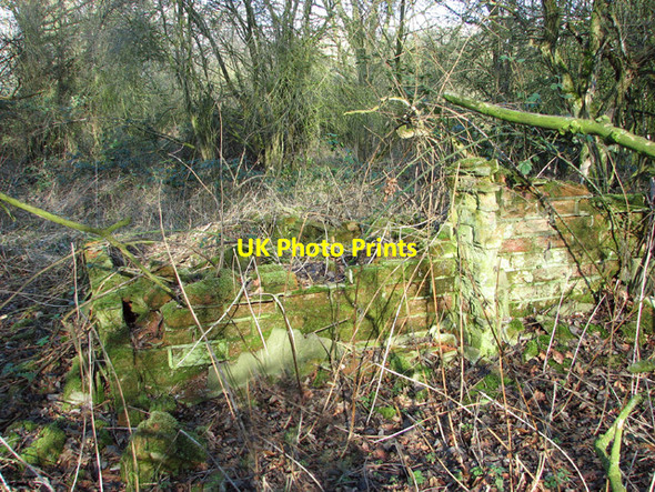Photo 6"x4" WW2 remains on Site 6 Hethel c2015 P1