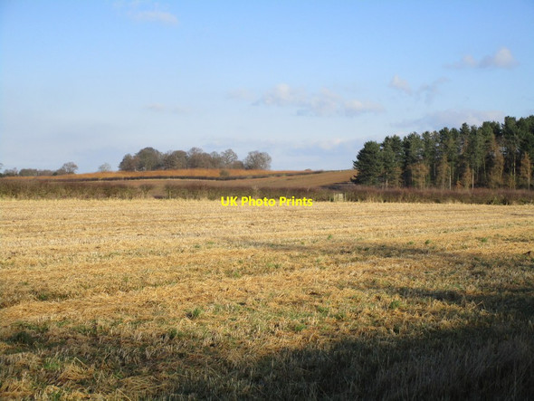 Photo 6"x4" View towards Knives Hill Plantation Barnby Moor c2015