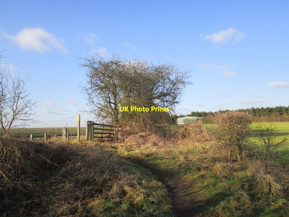 Photo 6"x4" Bend in the path Sutton Cum Lound c2015