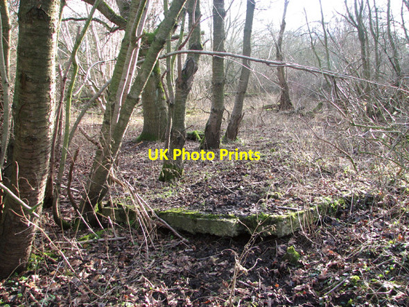Photo 6"x4" WW2 remains on Site 3 Hethel c2015 P1