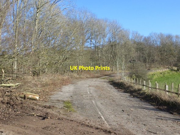 Photo 6"x4" Foot of Cairnie Braes Clathy c2015