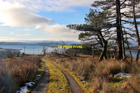 Photo 6"x4" Track through Knockdow Estate Ardyne Burn c2015