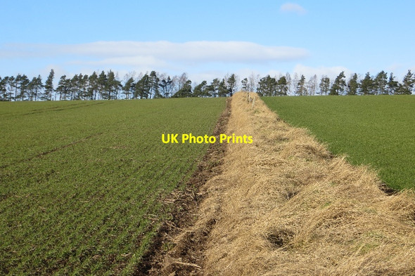 Photo 6"x4" Old field boundary, Cairnie Findo Gask c2015