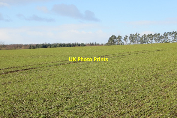 Photo 6"x4" Arable land, Cairnie Findo Gask c2015