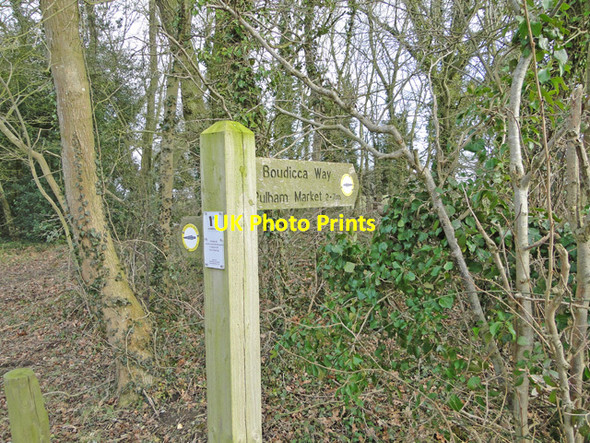 Photo 6"x4" Boudicca Way footpath sign Colegate End c2015
