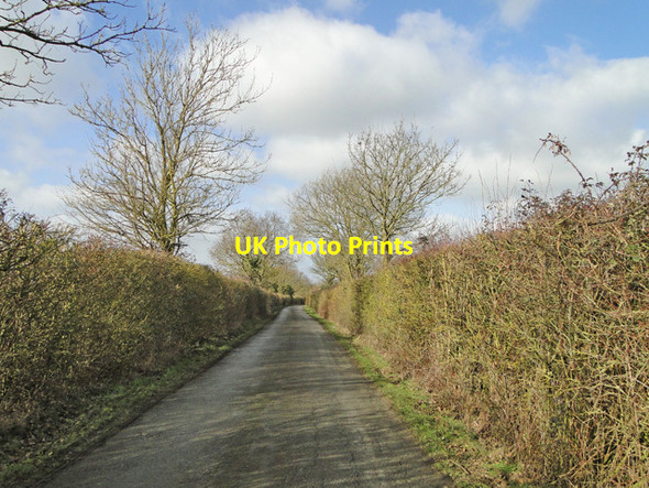 Photo 6"x4" Room Lane, Shelton Darrow Green c2015