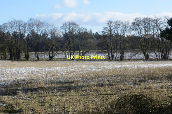 Photo 6"x4" Field beside Burnside Wood Forteviot c2015