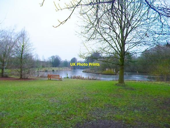 Photo 6"x4" Westwood Heath, lake Gibbet Hill\/SP3074 c2015