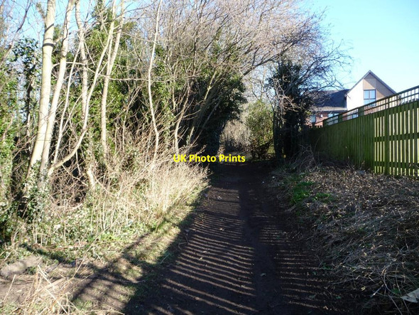 Photo 6"x4" Harewood Lane, north of Woodlands Way, Upton Upton\/SE4713 c2015