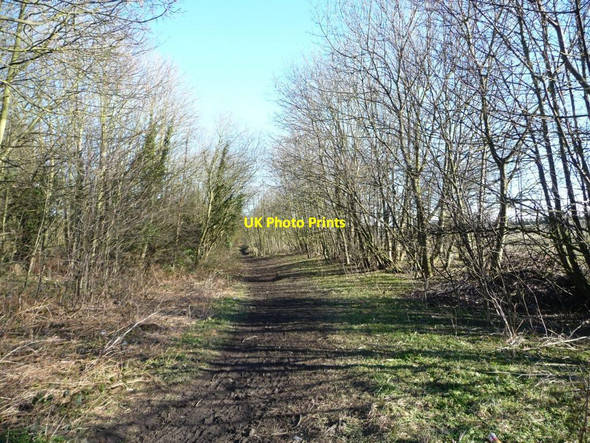 Photo 6"x4" Former railway line, Upton Country Park North Elmsall c2015