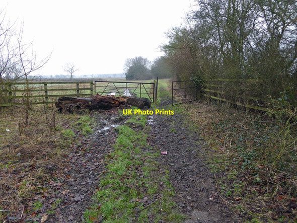 Photo 6"x4" The Ebor Way (course of Roman Road) Tadcaster c2015