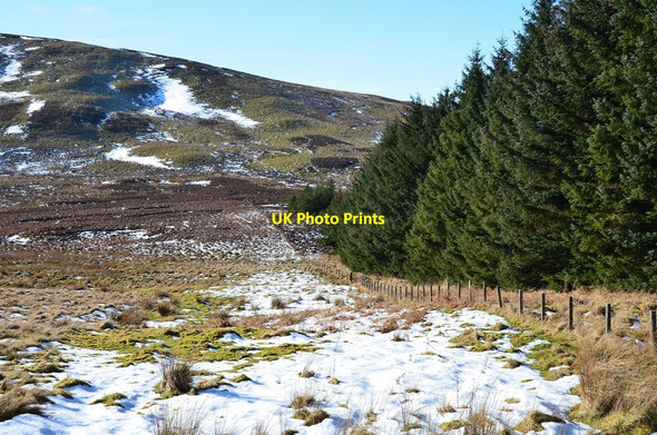 Photo 6"x4" Hillside above Feuar's Moss Mountbengerburn c2015