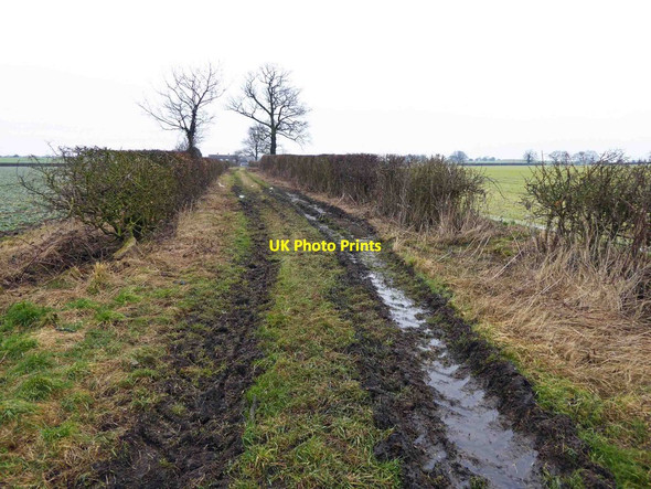 Photo 6"x4" Muddy bridleway near Bilbrough Bilbrough c2015