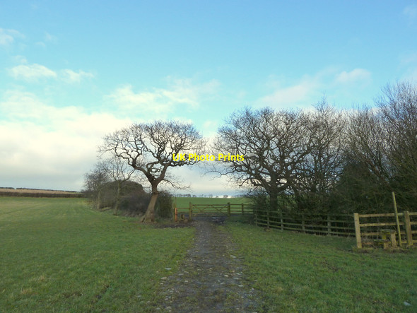 Photo 6"x4" Farm track between Parbold and High Moor High Moor\/SD5011 c2015