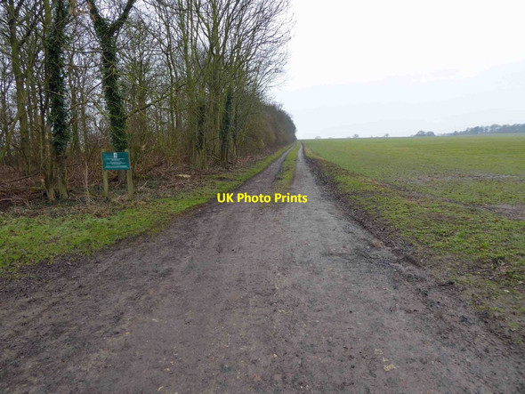 Photo 6"x4" Cobit Belt farm track Hutton Wandesley c2015