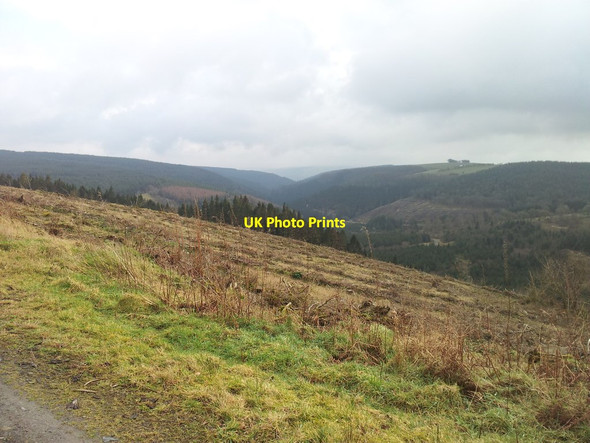 Photo 6"x4" View down the Gorlech Valley Rhydcymerau c2012
