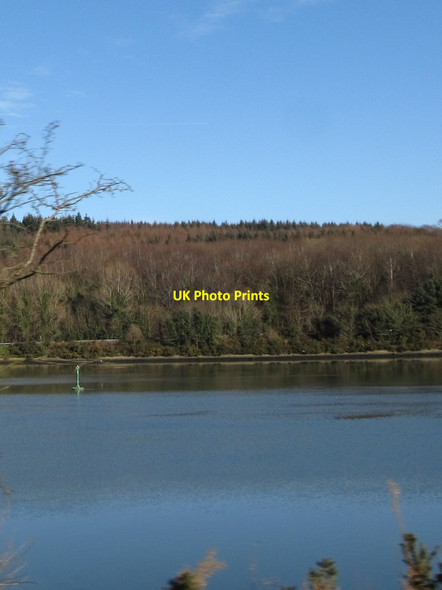Photo 6"x4" Channel marker in the Newry River Burren c2015