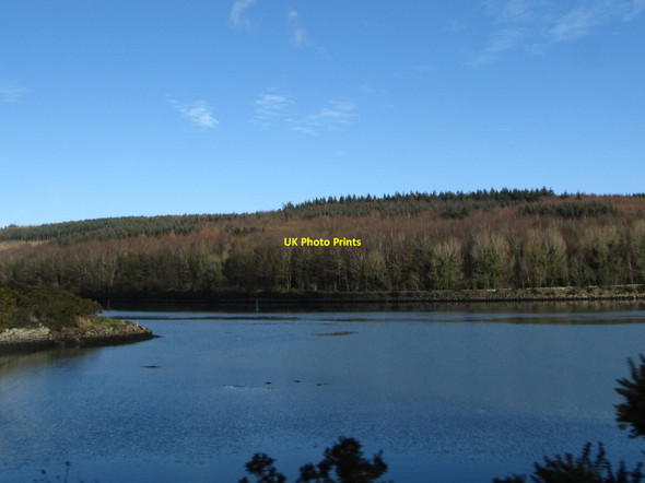 Photo 6"x4" View across the Newry River to the A2 dual carriageway Warrenpoint c2015