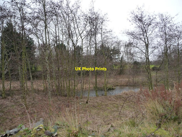 Photo 6"x4" The Wells o' Wearie Edinburgh c2015