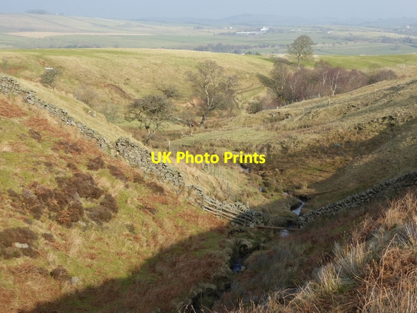 Photo 6"x4" The valley of the Howden Burn Melkridge c2015