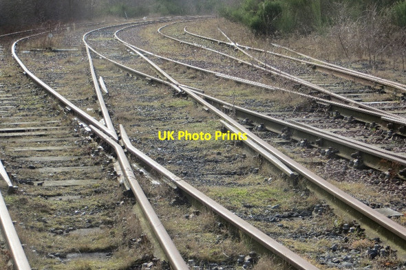 Photo 6"x4" The Cockenzie spur Cockenzie and Port Seton c2015