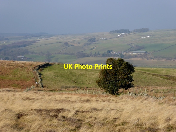 Photo 6"x4" Hillside above Howden Burn Melkridge c2015