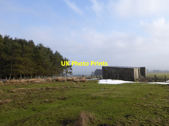 Photo 6"x4" Barn at Kingswood Rigg Whitfield\/NY7758 c2015