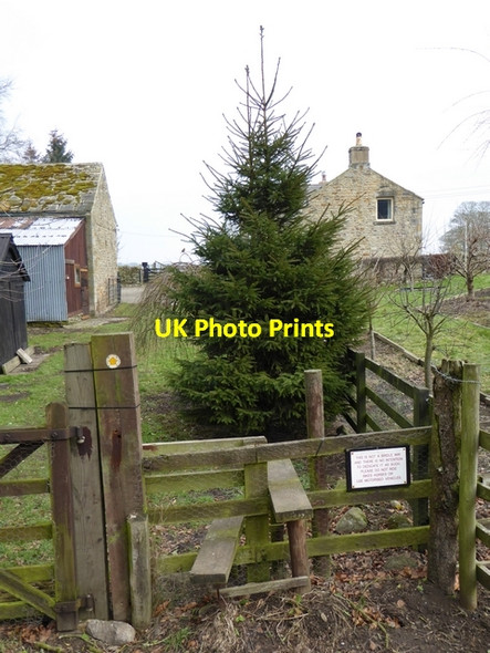 Photo 6"x4" Oadhall Mill Henshaw\/NY7664 c2015