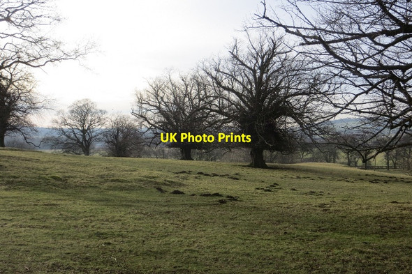 Photo 6"x4" Parkland, House of The Binns Mannerston c2015