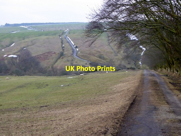 Photo 6"x4" Cleugh of Kingswood Burn Whitfield\/NY7758 c2015