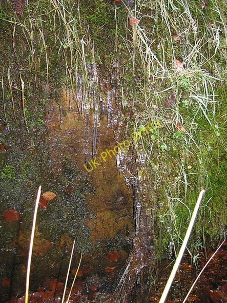 Photo 6"x4" Mossy icicles Brynafan c2008