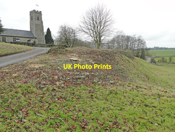 Photo 6"x4" Emerging snowdrops near Shotesham church Hawes' Green c2015