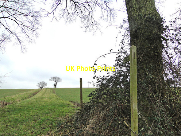 Photo 6"x4" Inclined footpath Saxlingham Green c2015