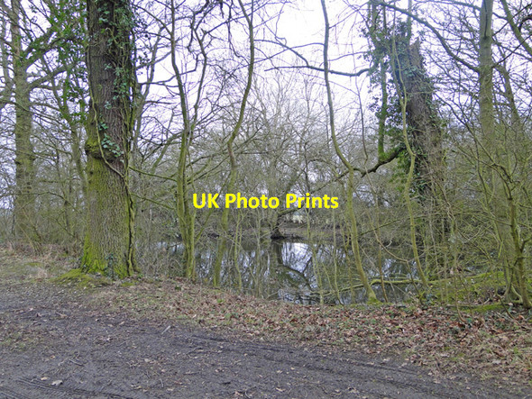 Photo 6"x4" Hidden pond on Fyland's Road Road Green\/TM2693 c2015