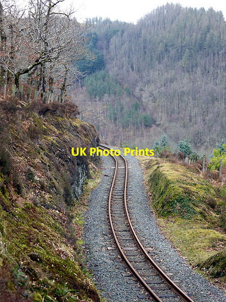 Photo 6"x4" The Vale of Rheidol Railway running through Coed Rheidol Devil's Bridge\/Pontarfynach c2015