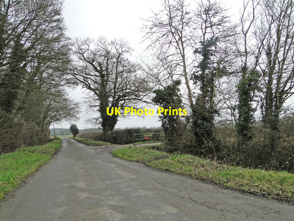 Photo 6"x4" Woodton Road past Woodton Farm Saxlingham Green c2015