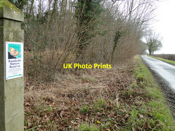 Photo 6"x4" Roadside Nature Reserve on Backwood Lane Howe\/TM2799 c2015