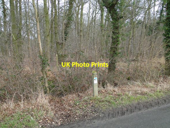 Photo 6"x4" Brooke Wood beyond Backwood Lane Howe\/TM2799 c2015