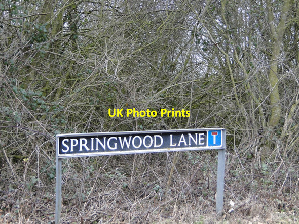 Photo 6"x4" Springwood Lane. No through road Road Green\/TM2693 c2015
