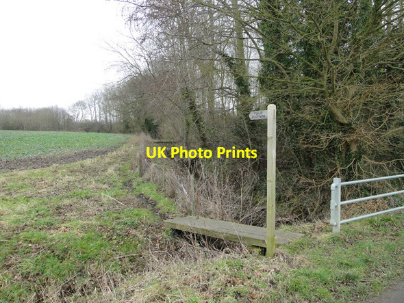 Photo 6"x4" Footpath off Zig Zag Lane Kirstead Green c2015
