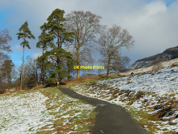 Photo 6"x4" Lang Craigs Woodland Dumbarton c2015