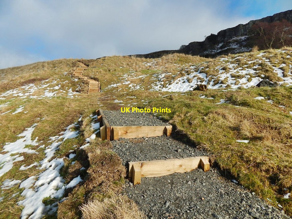 Photo 6"x4" Lang Craigs Woodland Milton\/NS4274 c2015