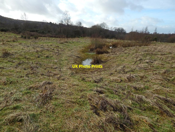 Photo 6"x4" Former course of Gleniffer Branch Line Barrhead c2015