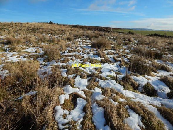 Photo 6"x4" Old track on Carman Muir: eastern section Alexandria c2015 P1